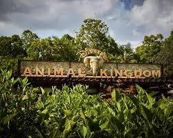 Animal Kingdom